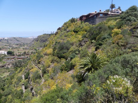 Botanická zahrada: Jardin Canaria- vstup zdarma.