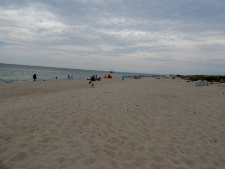 DSCN0836