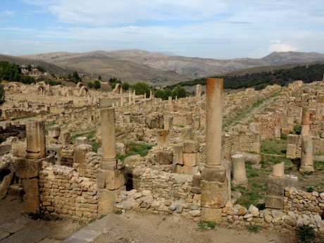 Djemila.