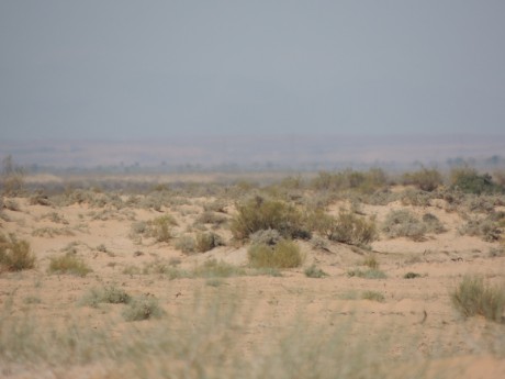 DSCN2461