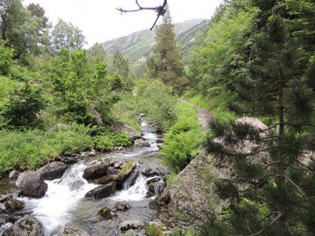 Parc Natural de la Vall de Sorteny..