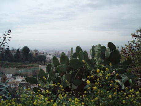 P8280928