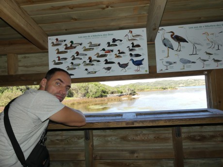 Parque natural de s'albufera des grau- pozorovatelna ptactva