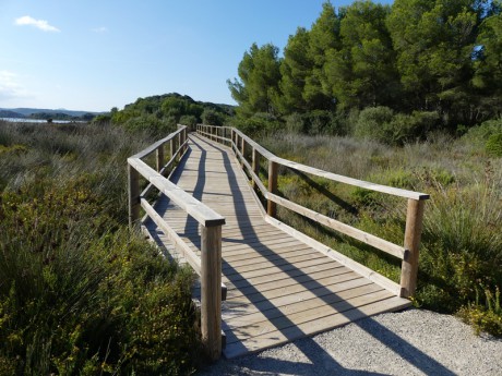 Parque natural de s'albufera des grau- trek od městečka Es Grau