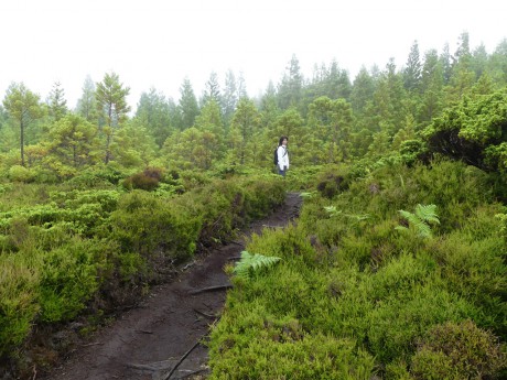 Misterios Negros trail, začátek