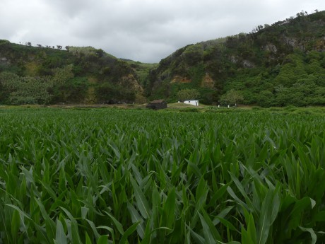 ..Baías da Agualva