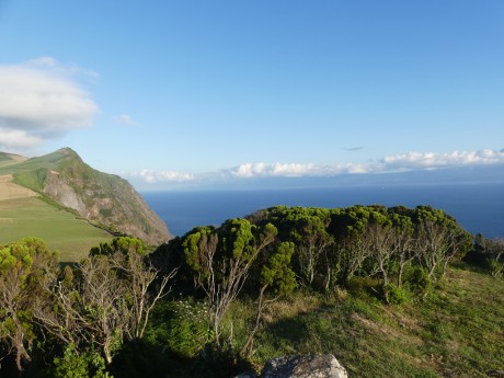 P1300783