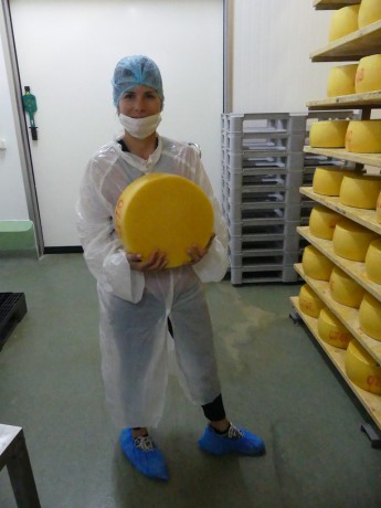 Exkurze v továrně na sýry