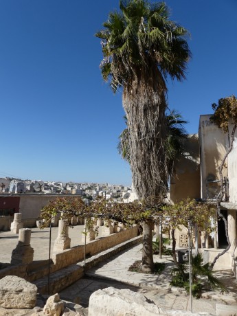 Madaba Archaeological Museum