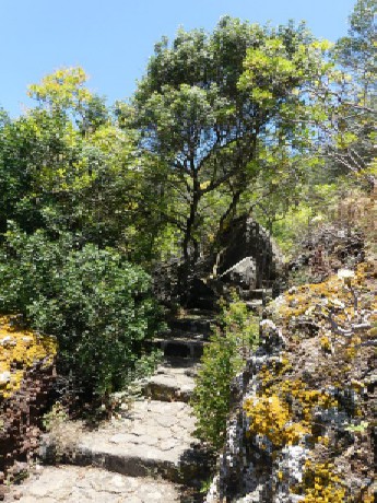 Botanická zahrada: Jardin Canaria- vstup zdarma..