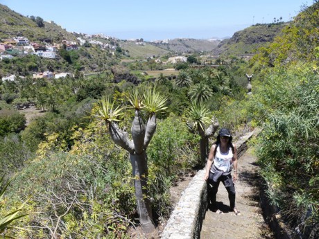 .Botanická zahrada: Jardin Canaria- vstup zdarma