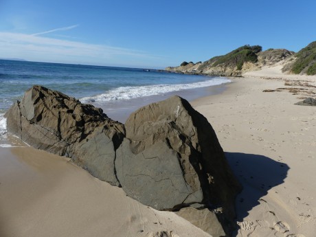 ..Playa Paloma