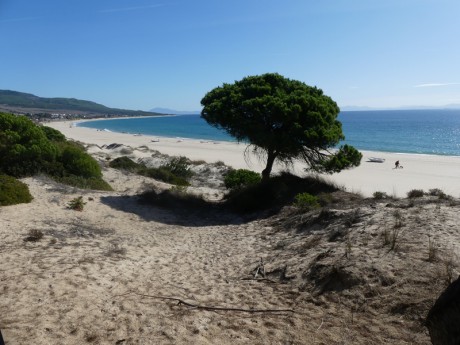 ..Playa de Bolonia