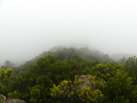 Mirador de la Llania