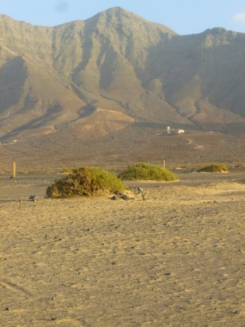 P1010016 (600x800)