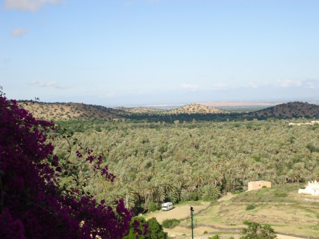 DSC00317