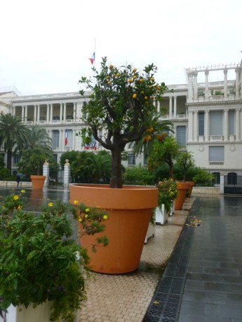 P1050275