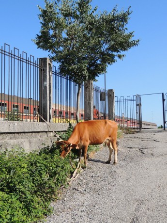 Shkodër-před vlakovým nádražím :)