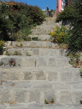 DSCN9872