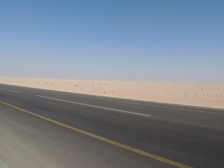 DSCN0426
