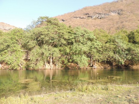 Wadi Darbat.