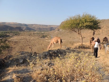 Při výjezdu z Wadi Darbat