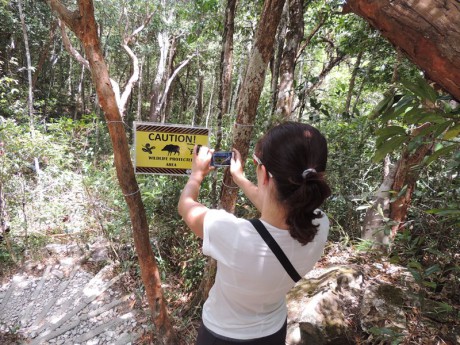 Langkawi- cesta k Sky Bridge