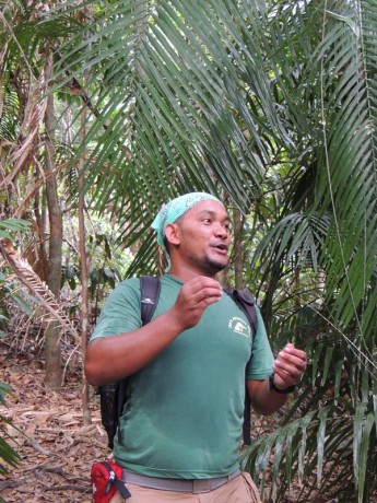 Langkawi- náš průvodce, podvečerní výlet do džungle