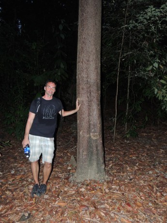 Langkawi- výlet do džungle- tento strom má prý 12let