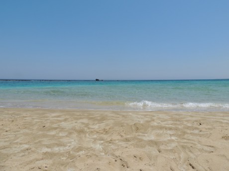 DSCN0105