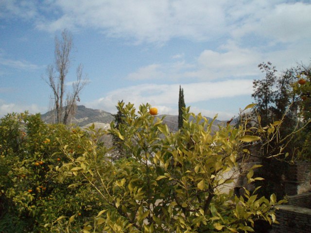 P8270856