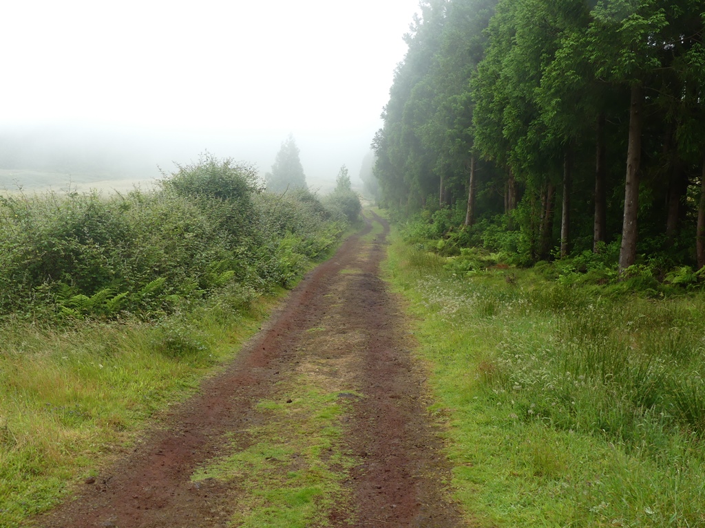 Misterios Negros trail