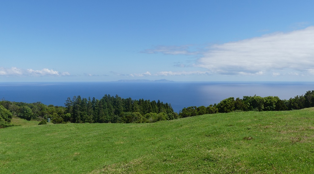P1300612