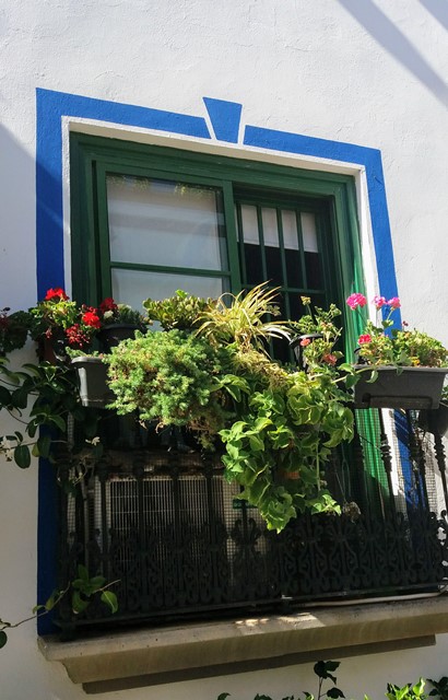 Puerto Mogán 