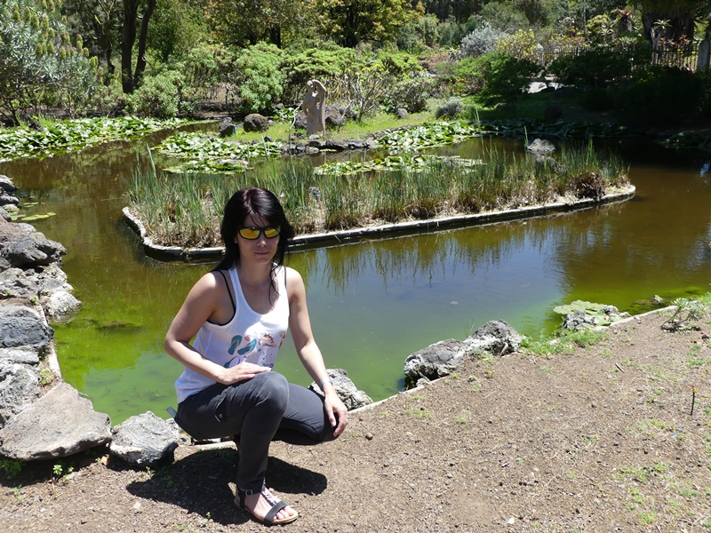 Botanická zahrada: Jardin Canaria....