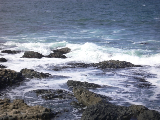 P1000695