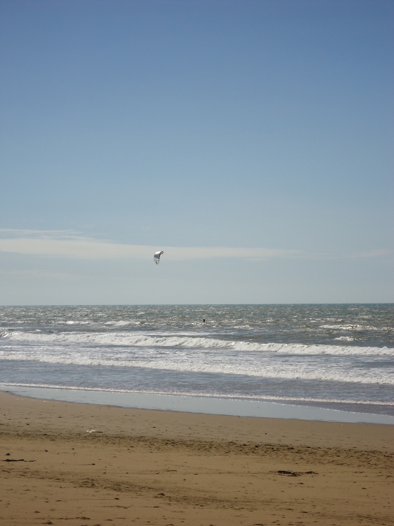 DSC00195