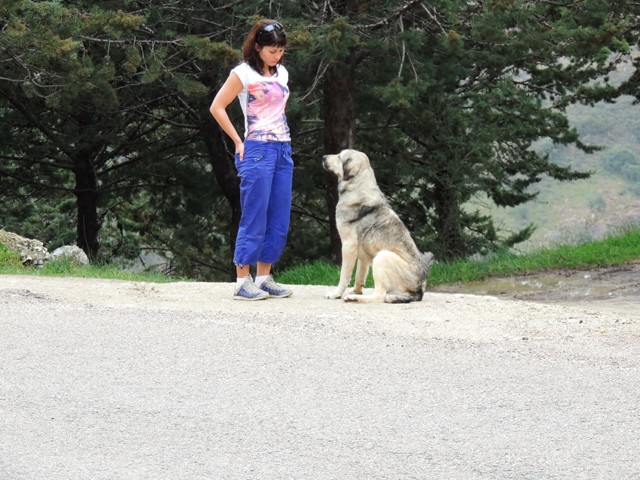 Ne, nebereme ho sebou, Denčo :)