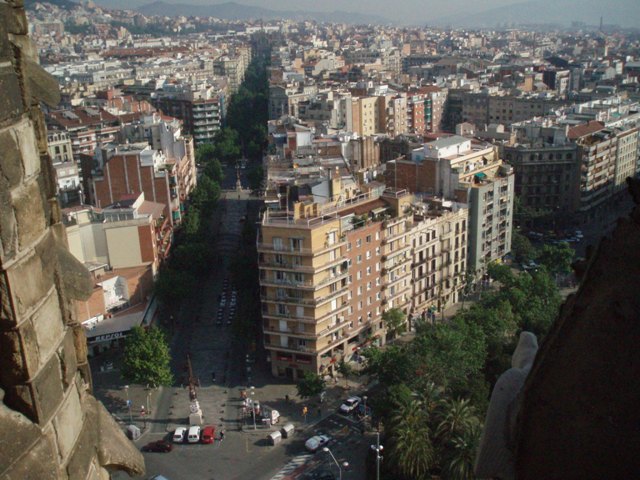 P1010341
