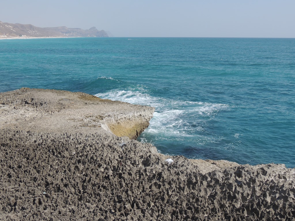 DSCN0299