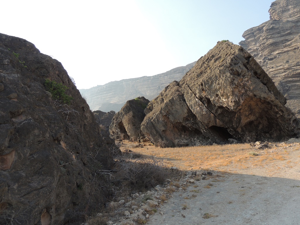 DSCN0381